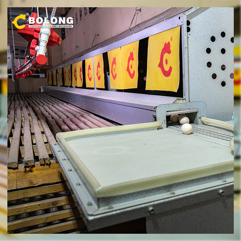 robust construction Egg Retrieval System